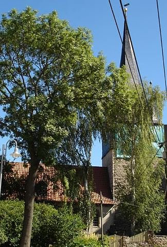 Bild: &Ouml;kumenischer Gottesdienst