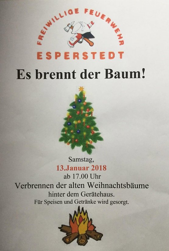 Bild: Es brennt der Baum
