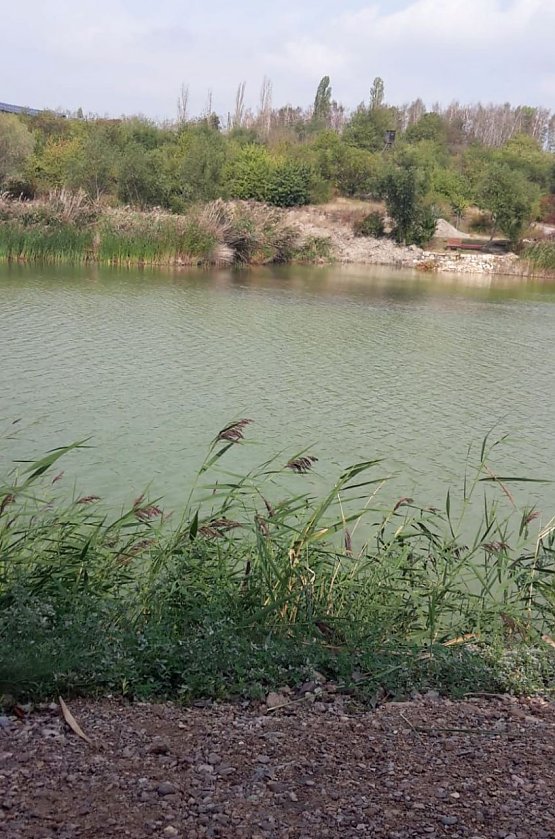 Bild: Der Wasserstand steigt