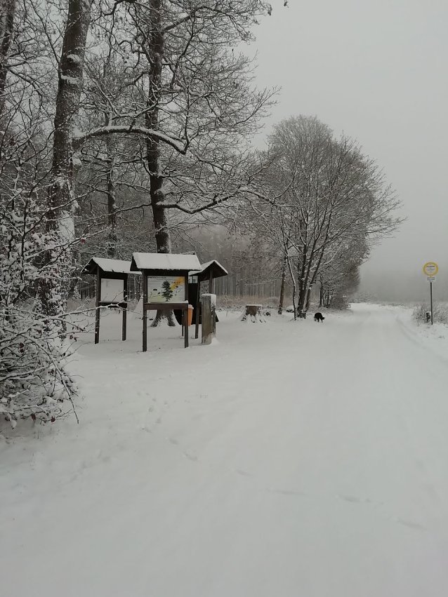 Bild: Winterwetter in Sophienhof