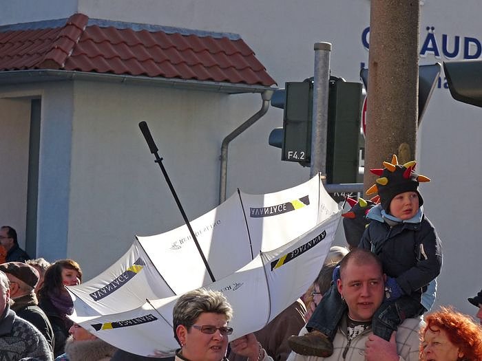 Rosenmontagsumzug Sondershausen