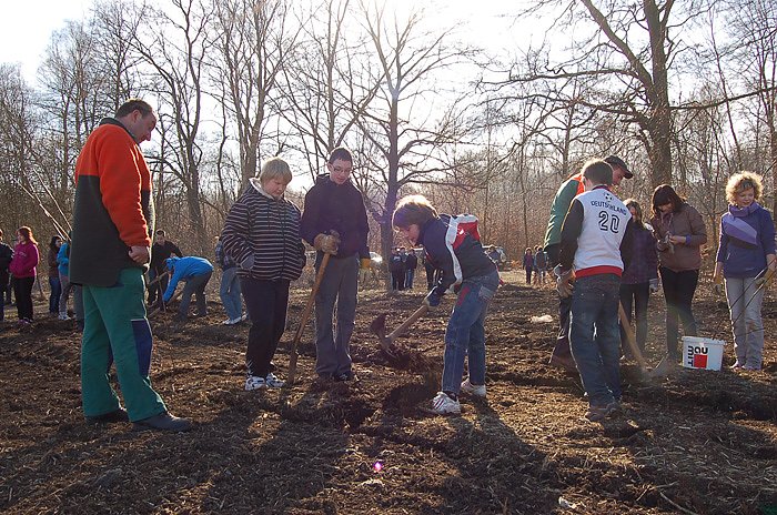 Baumpflanzung am Kyffh&auml;user