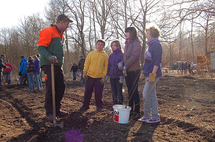 Baumpflanzung am Kyffh&auml;user
