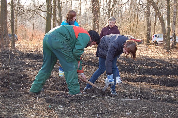 Baumpflanzung am Kyffh&auml;user