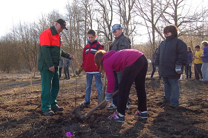 Baumpflanzung am Kyffh&auml;user