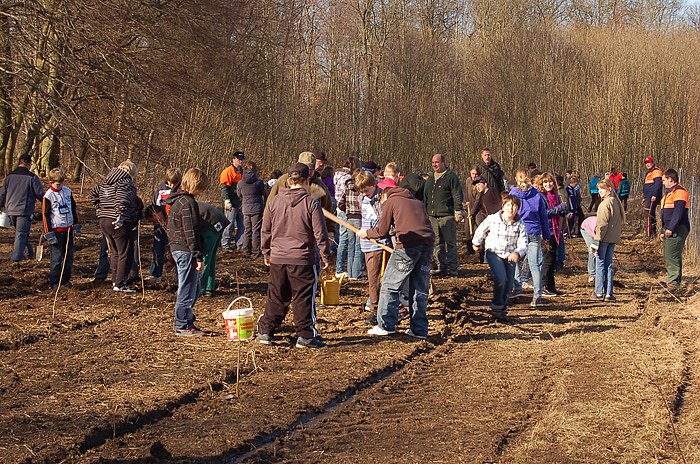 Baumpflanzung am Kyffh&auml;user