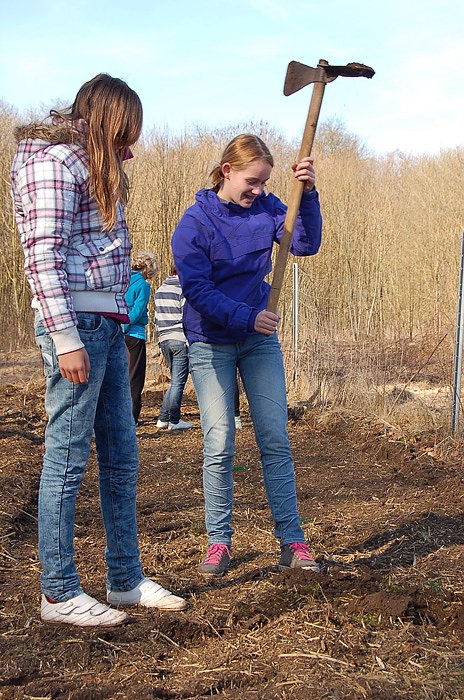 Baumpflanzung am Kyffh&auml;user