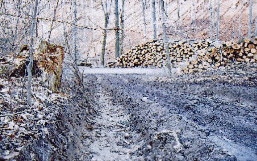 Pro Kyffh&auml;userwald