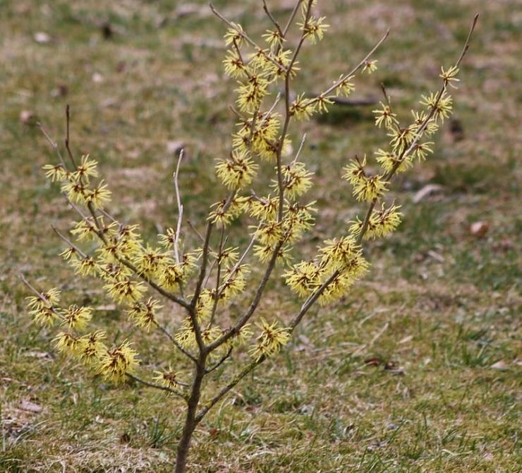 Fr&uuml;hling angekommen