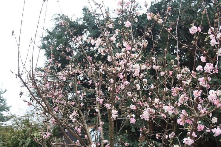 Fr&uuml;hling angekommen