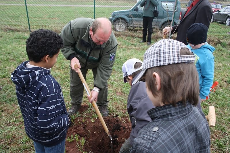 Haldenbepflanzung Sondershausen