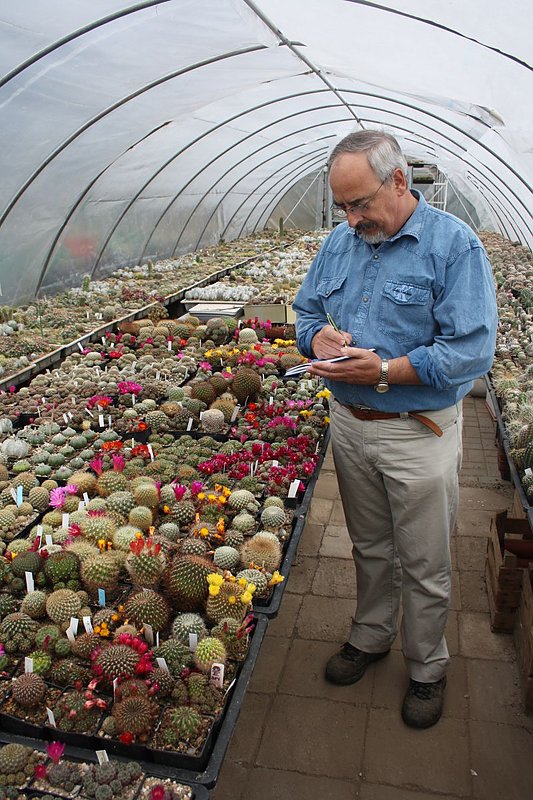 Kakkteen in Schernberg