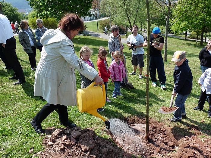 Wohngebietsfest &Ouml;stertal