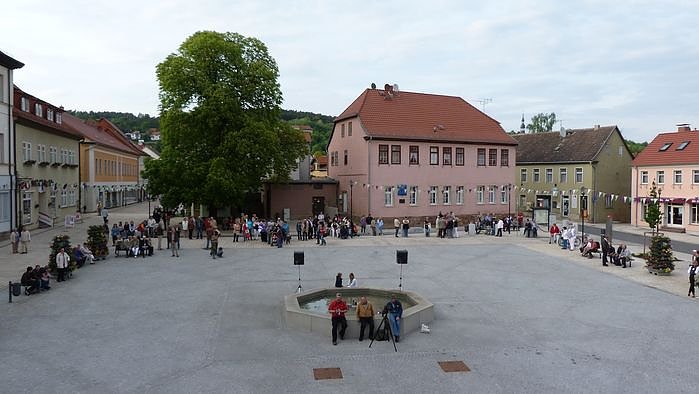 Fliederkrone gesetzt