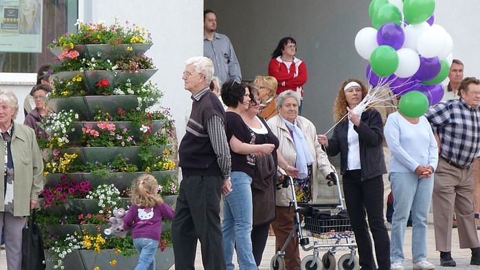 Fliederkrone gesetzt