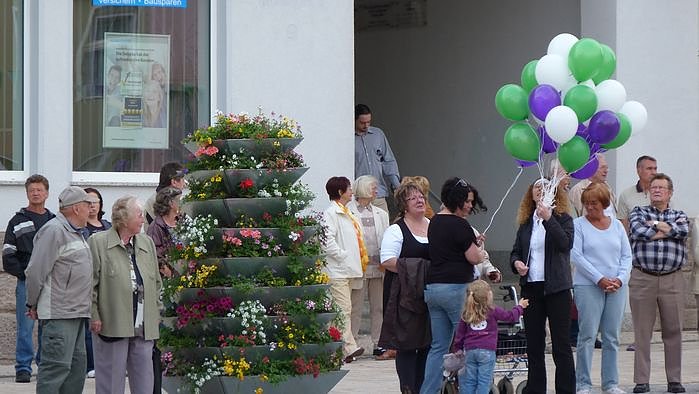 Fliederkrone gesetzt