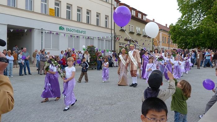 Fliederkrone gesetzt