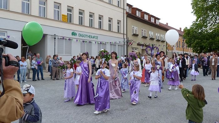 Fliederkrone gesetzt
