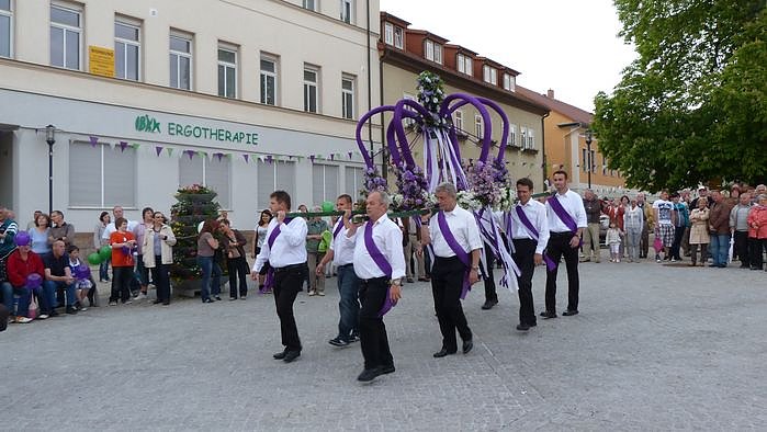 Fliederkrone gesetzt