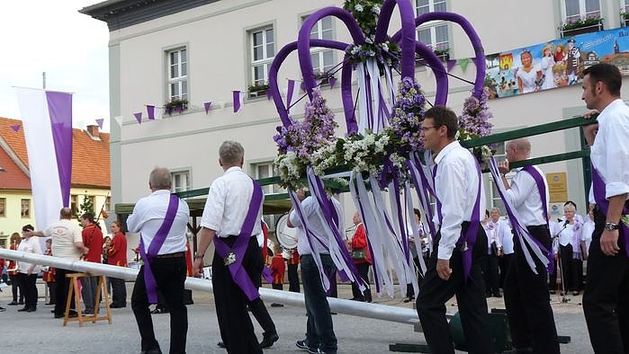 Fliederkrone gesetzt