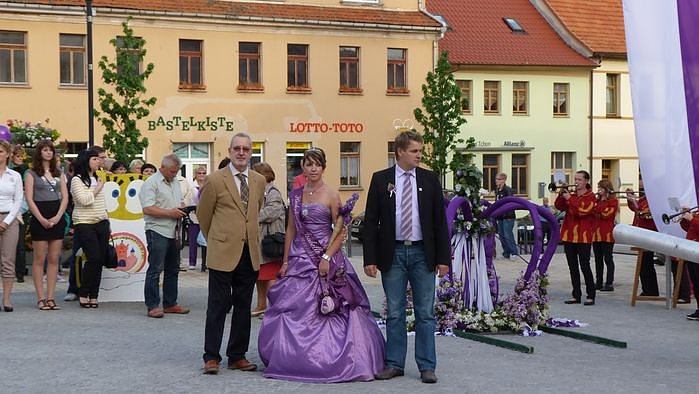 Fliederkrone gesetzt