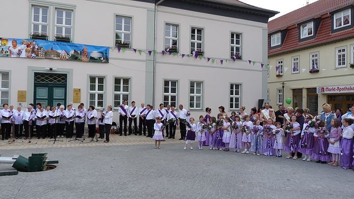 Fliederkrone gesetzt