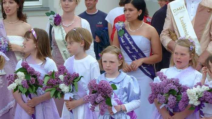 Fliederkrone gesetzt