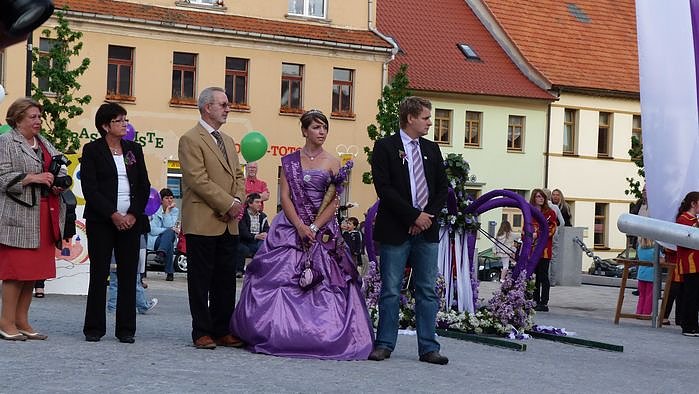 Fliederkrone gesetzt