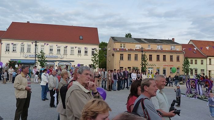 Fliederkrone gesetzt