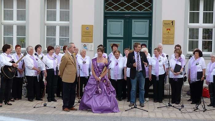 Fliederkrone gesetzt