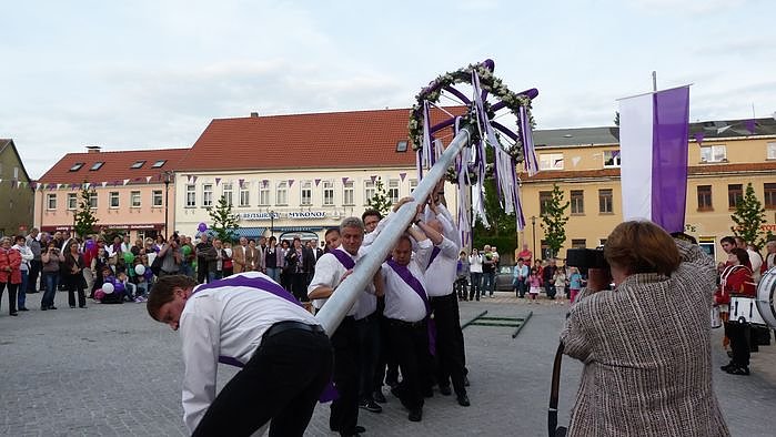 Fliederkrone gesetzt
