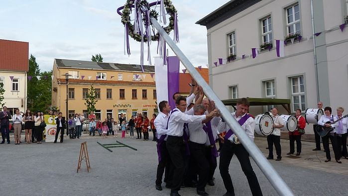 Fliederkrone gesetzt