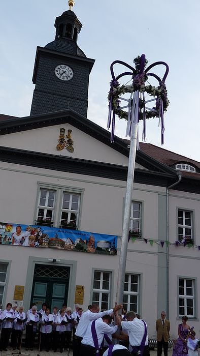 Fliederkrone gesetzt