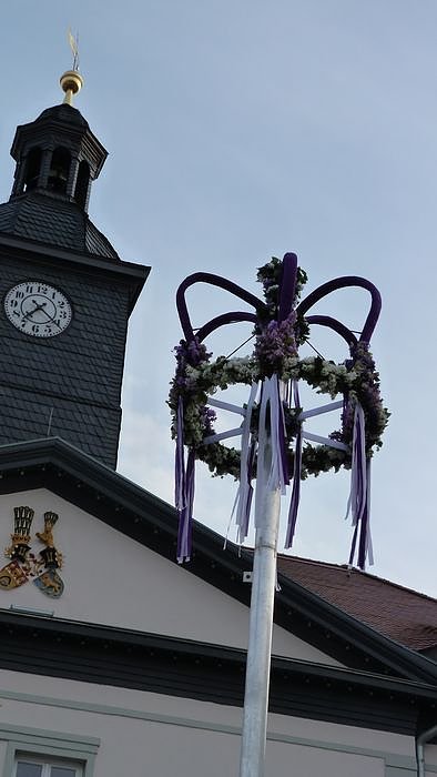 Fliederkrone gesetzt