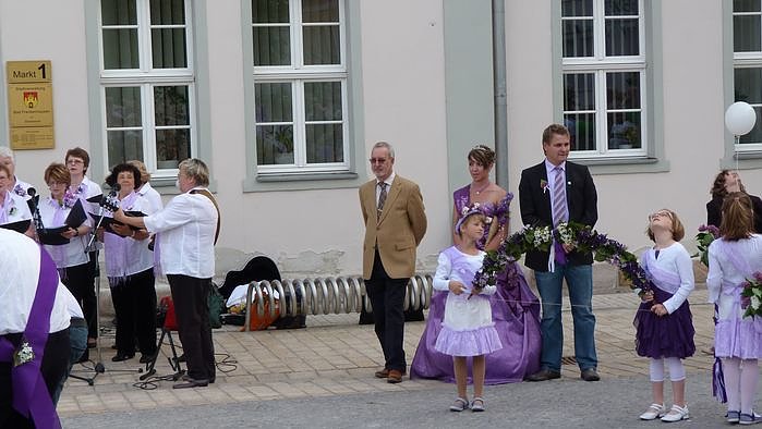 Fliederkrone gesetzt