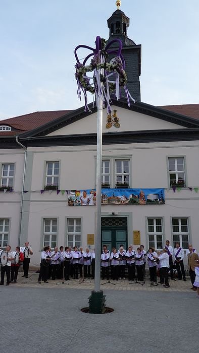 Fliederkrone gesetzt