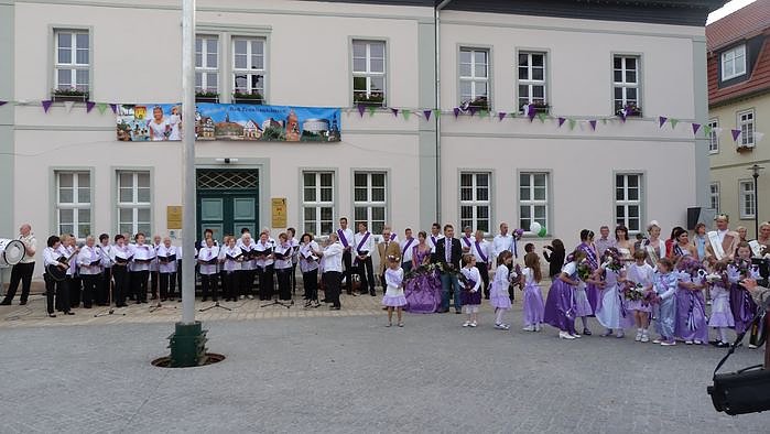 Fliederkrone gesetzt