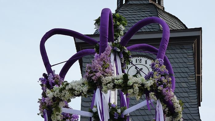 Fliederkrone gesetzt
