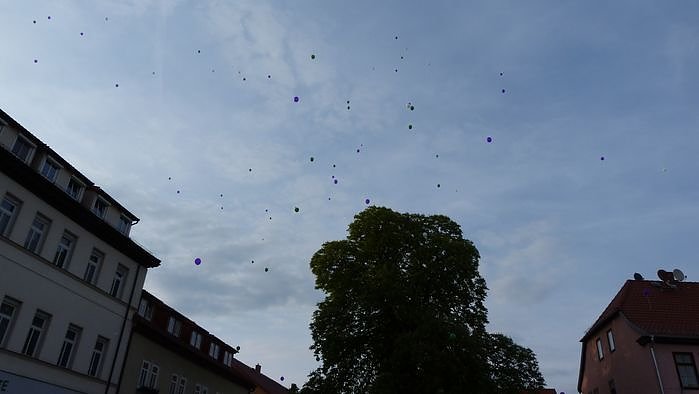 Fliederkrone gesetzt