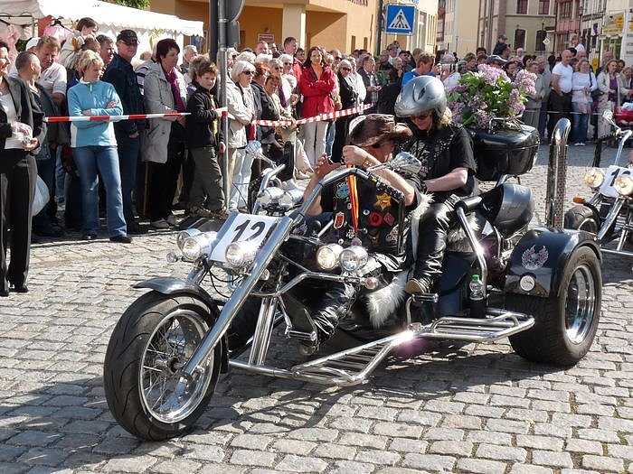 Fliederkorso in Frankenhausen