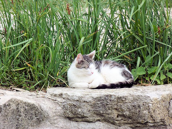 Auf dem Possen bei Sondershausen