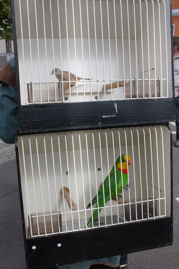 Die Markter&ouml;ffnung zum Residenzfest