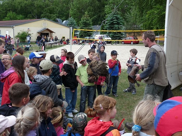 Kindertag im Ferienpark