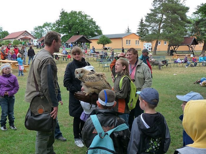 Kindertag im Ferienpark