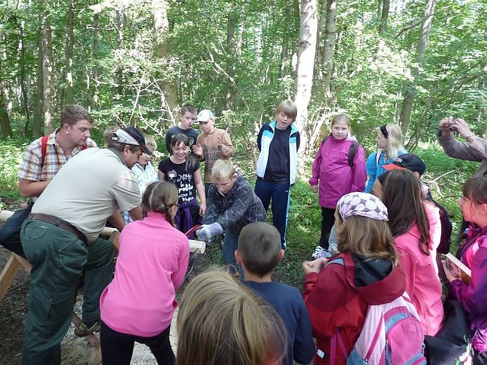 Waldjugendspiele begeisterten