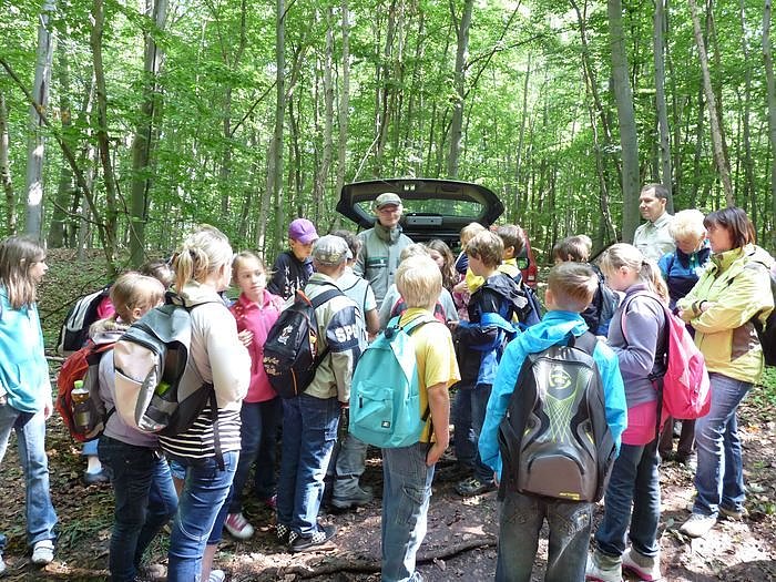 Waldjugendspiele begeisterten