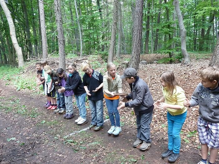 Waldjugendspiele begeisterten