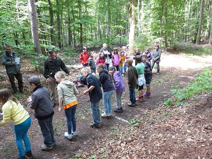 Waldjugendspiele begeisterten