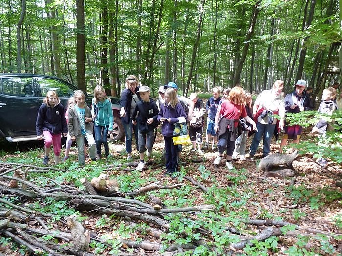 Waldjugendspiele begeisterten