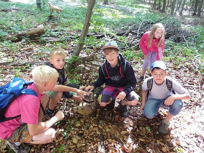 Waldjugendspiele begeisterten